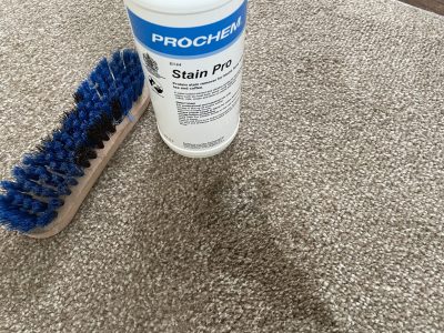 Pet stains treated by Housekeeping 247 Ltd