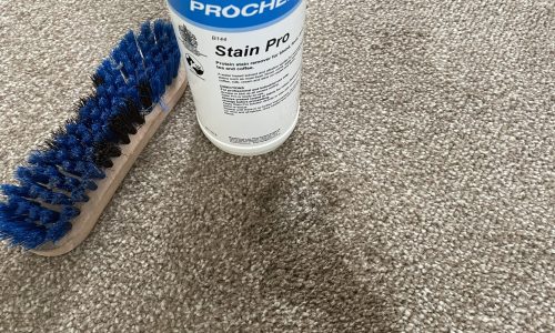 Pet stains treated by Housekeeping 247 Ltd